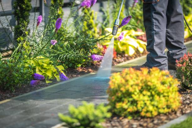 Professional Pressure Washing Services in Eastpointe, MI
